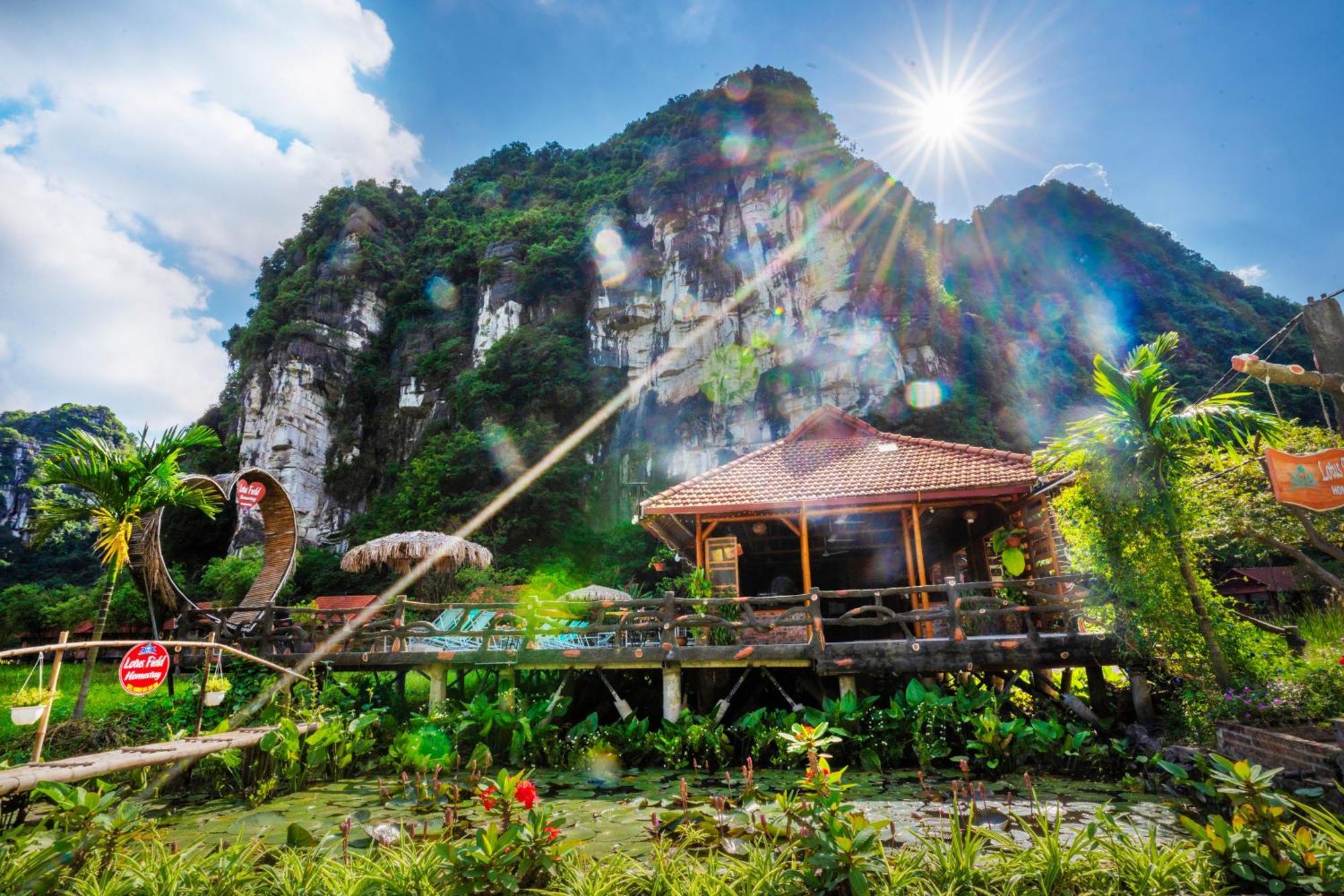 Lotus Field Homestay 닌빈 외부 사진