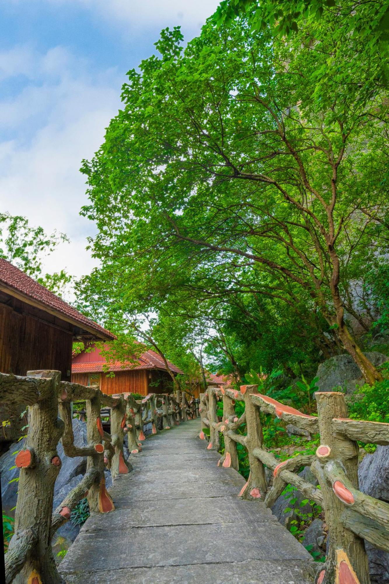 Lotus Field Homestay 닌빈 외부 사진